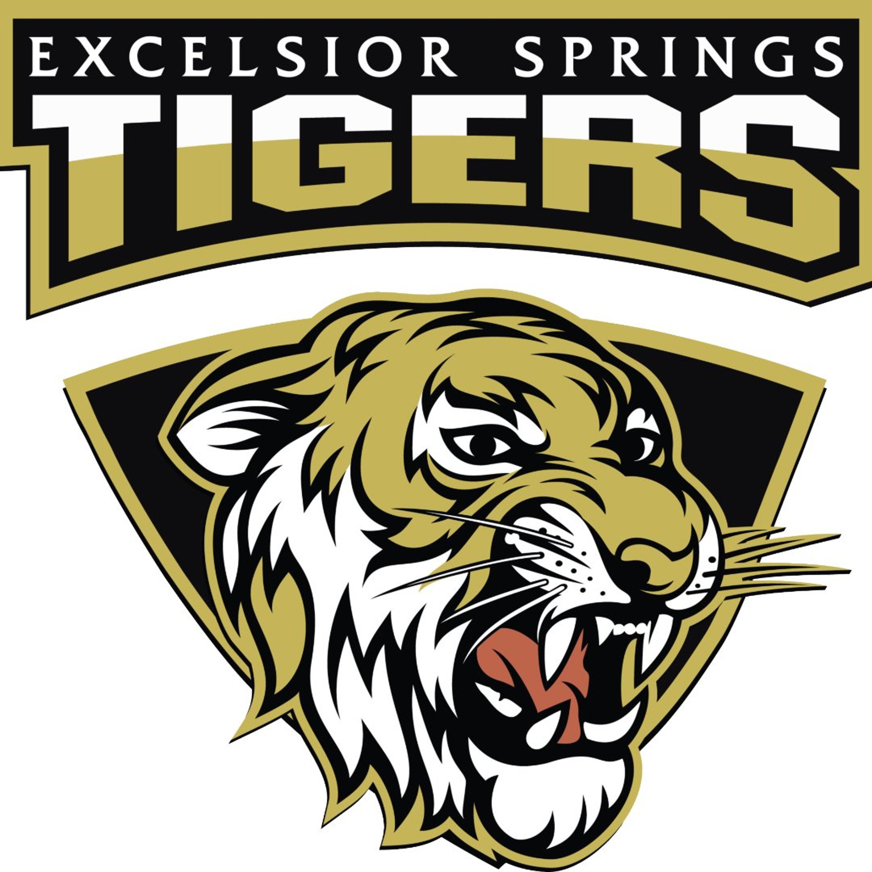 Excelsior Springs Coach Jacob Danneman 2026 Preview episode artwork