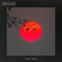 Dormio - Hesitation w/ MojoMusik