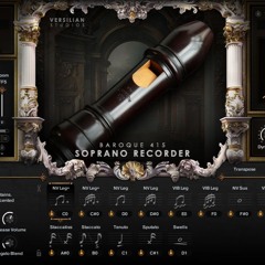 The Recorder Demo - Adam Hochstatter