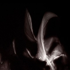 All Returns To Nothingness //  全ては無に還る // an alternate take