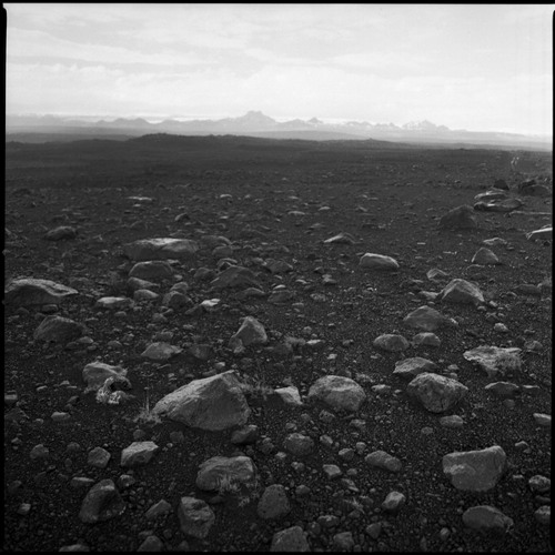 BBC Radio3 "Freeness" -  live  playlist by ohrenweide