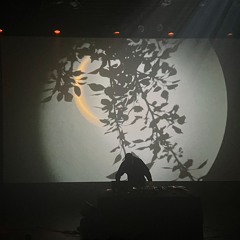 pavel milyakov NTS 17.11.2025