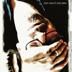 Des Hauts Des Bas - Cover (Stephane Eicher/Philippe Djian)