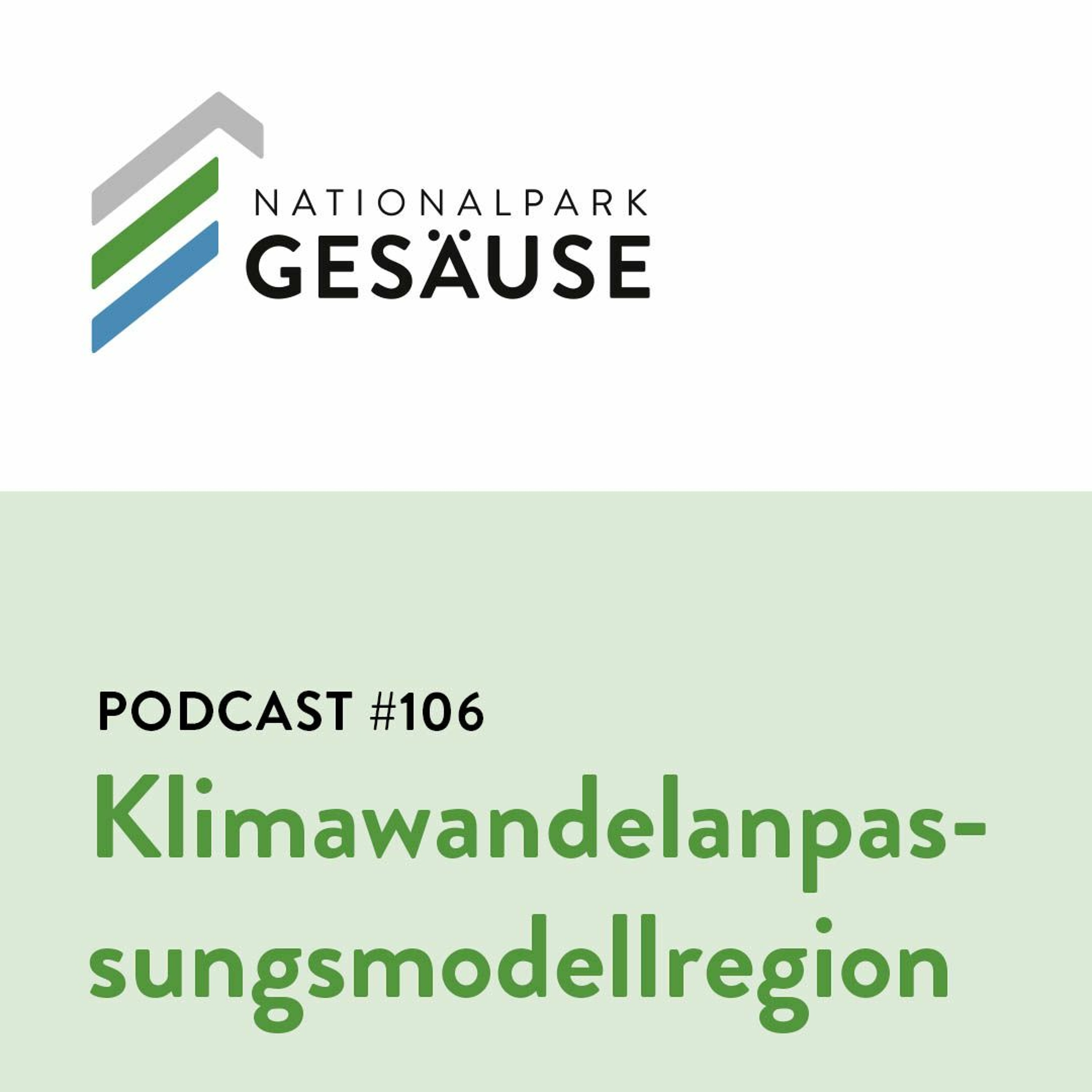 Podcast #106 - Klimawandelanpassungsmodellregion episode artwork