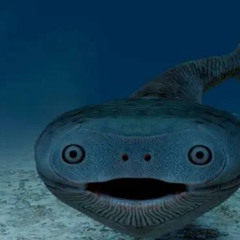 PRACTICE ROUND ~ Evil Fish Approaches!