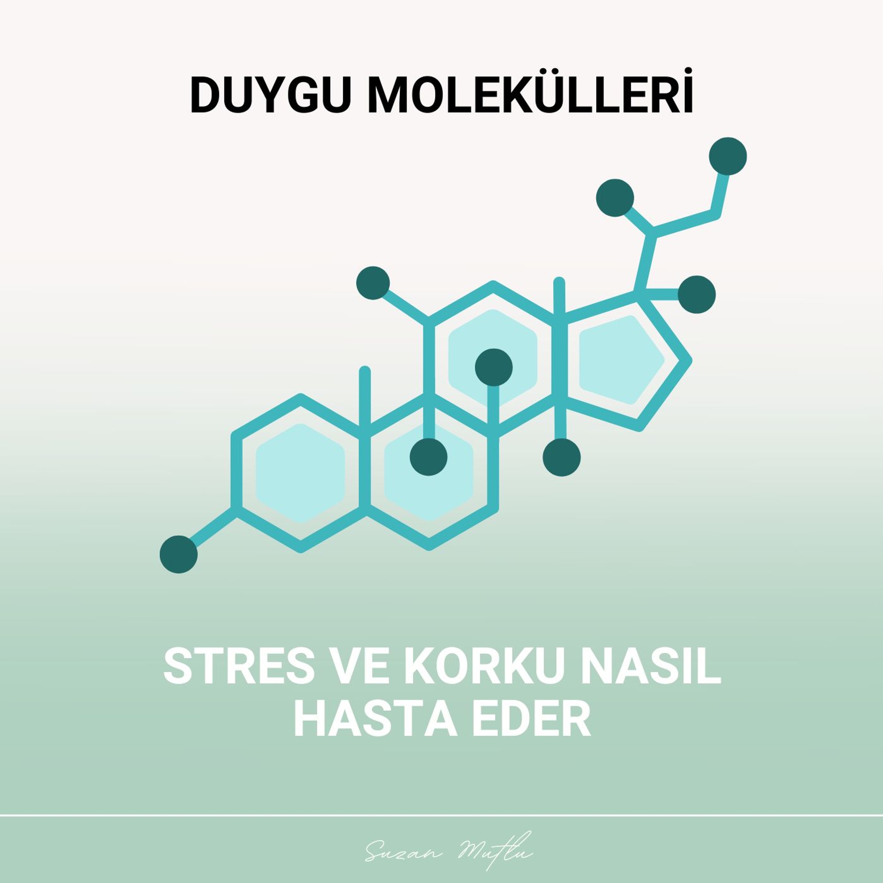 DUYGU MOLEKÜLLERİ: STRES VE KORKU NASIL HASTA EDER - BİLİMSEL AÇIKLAMA
