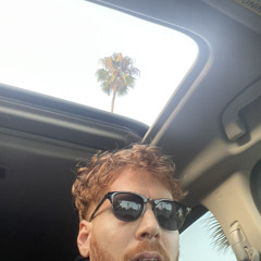 Calm as a palm