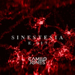 SINESTESIA E.017