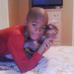 vulnerable p.everestdidthis