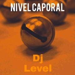 Naysha - Baila ( Remix Caporal - Dj Level ).mp3