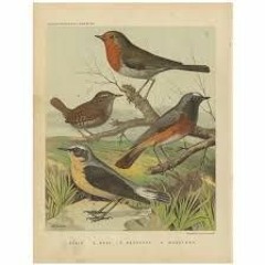 Intro/St. Louis St. Louis St. Louis