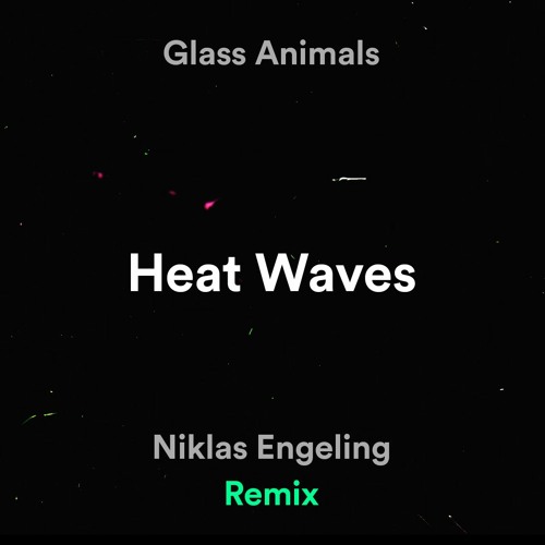 Glass Animals - Heat Waves (Niklas Engeling Remix)