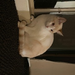 baby blue sedan (modest mouse)