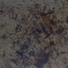 Diamond Breaker (Demo 1)