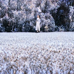 Winter Song