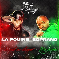 MOI J'AI PAS X QUI PEUT ME STOPPER - MASHUP MAX THE FLAMINGO