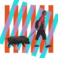 Pig Riviera