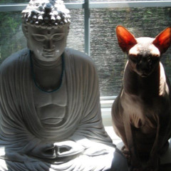 quieren de mi ft.pepsicejas