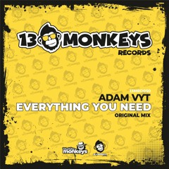 Adam Vyt - Everything You Need (Radio Edit)