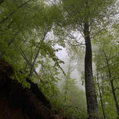 уединение