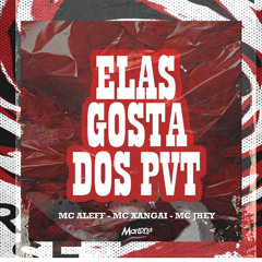 ELAS GOSTA DOS PVT  [ MARLONDJ ]