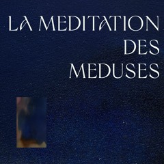 La méditation des méduses - terre et jeux