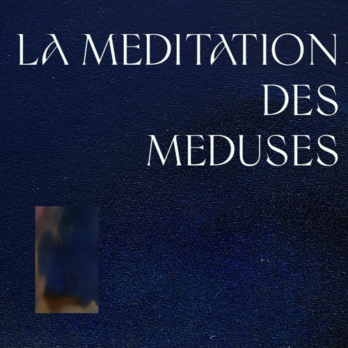 La méditation des méduses - terre et jeux