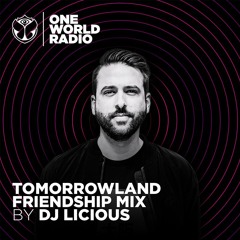 Tomorrowland Friendship Mix - DJ Licious