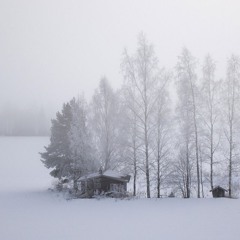 THE WHITE FINNISH SNOW "New Version"