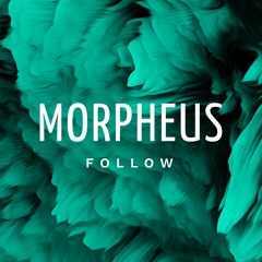 Follow