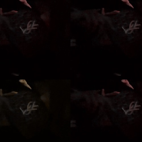 marc7s + fetchyx - nobody (406ahmad & deadboybrio)