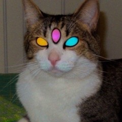 t1me
