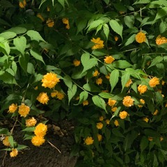 In other words, Everything by 1998