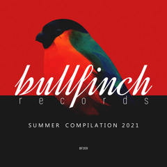Javier Ho - Para Siempre Es Ahora [Bullfinch]