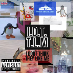 I.D.T.T.L.M (I DONT THINK THEY LIKE ME)