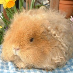 fav music on soundcloud