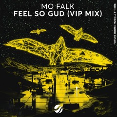 Mo Falk - Feel So Gud (VIP Mix)