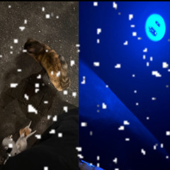 i cant take my eyes off of you +willy.hub (february6)