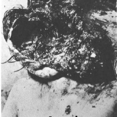 NIRVANA MIND THE PILLOCKS HERES STICKY KNICKERS!