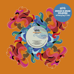 Smash N Grab (Bluey Remix) Snippet