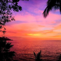 KayoMusicSV-SEX ON THE BEACH Feat.Miss me spidy