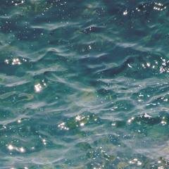 로판플리