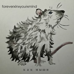 forexinxyourxmind