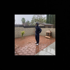 That Last Concussion