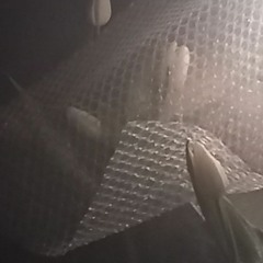 the floating world & all its pleasures. sunday dance @Radtanke