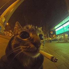 oxo - clout