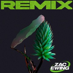 Flume - Say It (Zac Ewing Remix) PITCHED FOR COPYRIGHT