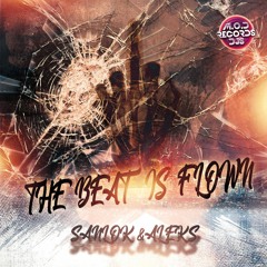 Sanlok & Aleks - The Beat Is Flown