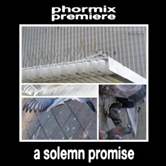 Premiere: a solemn promise - in your eyes (we’re vermin) [ST024]