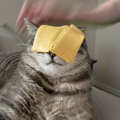tower of cheese (stupid sauce remix)